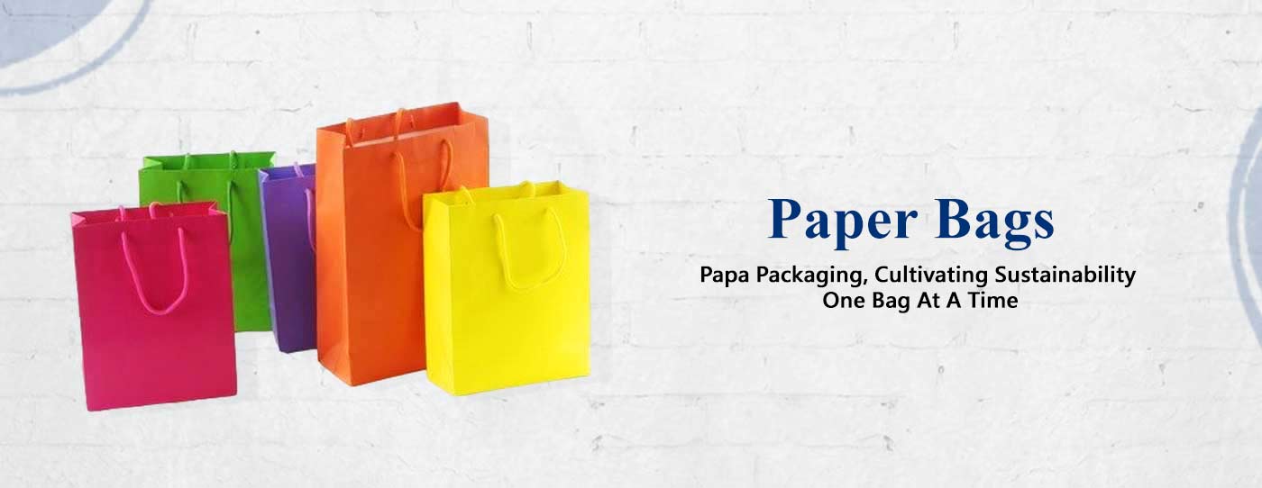 Paper Bags Manufacturers in Delhi