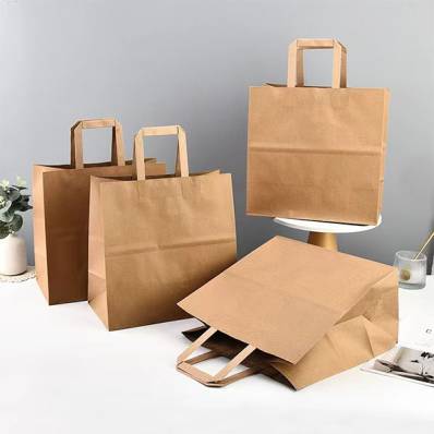 Flat Handle Paper Bags Manufacturers in Delhi