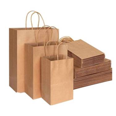 Paper Carry Bags Manufacturers in Delhi