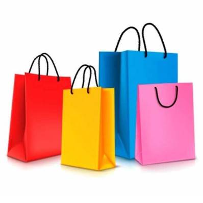 Paper Shopping Bags Manufacturers in Delhi